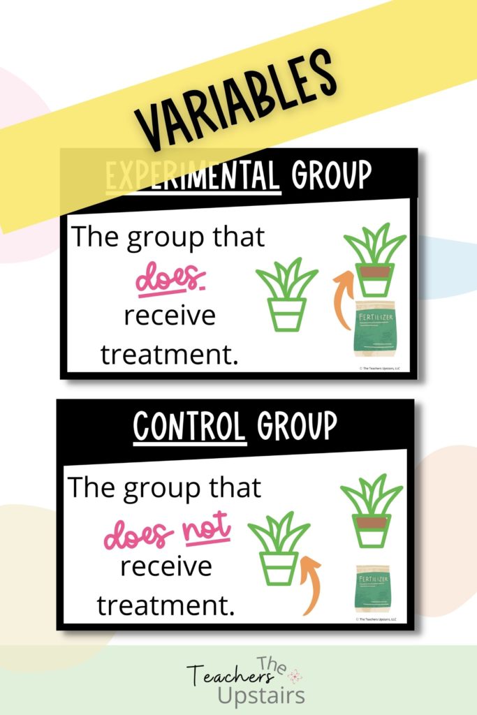What are anchor charts summary? Image shows how to use them to differentiate between variables.