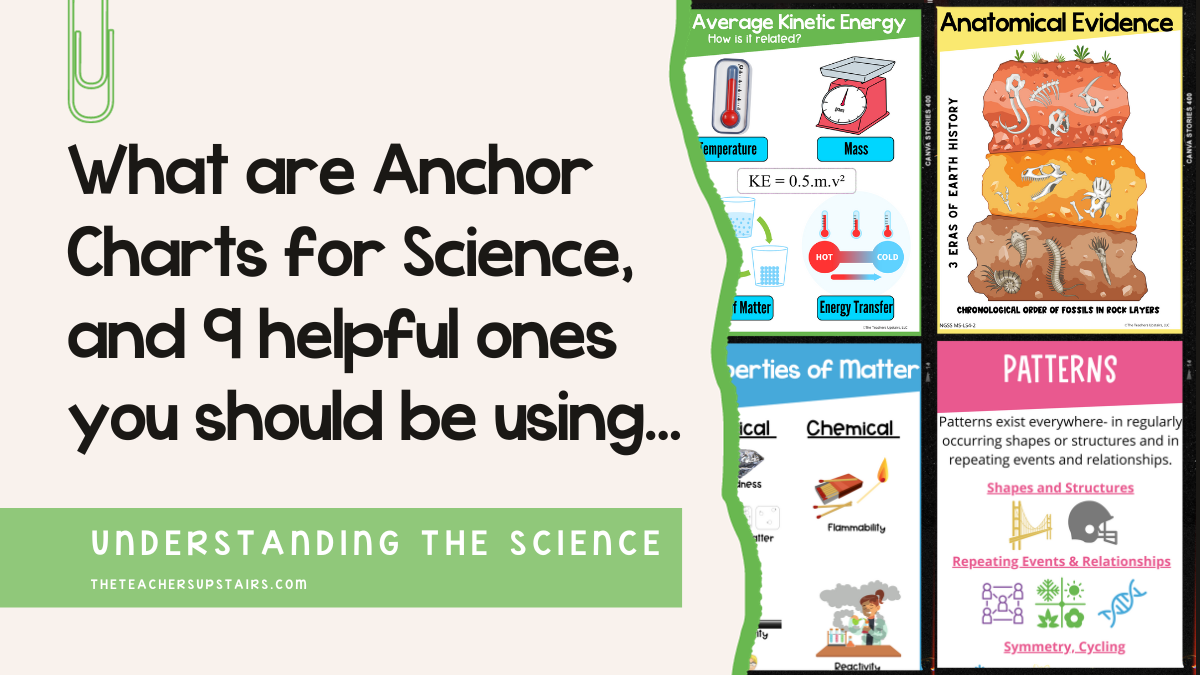 image showing four different anchor charts for science